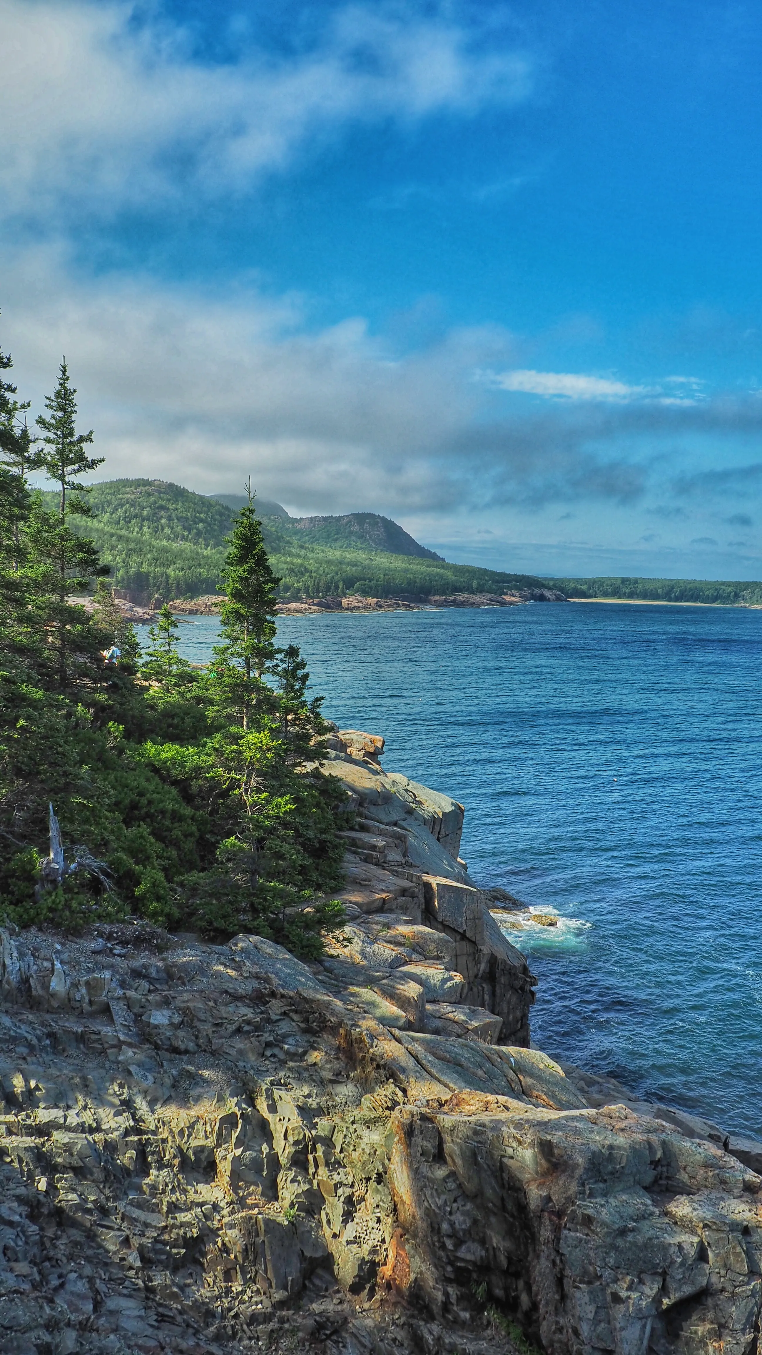 Otter Cliff