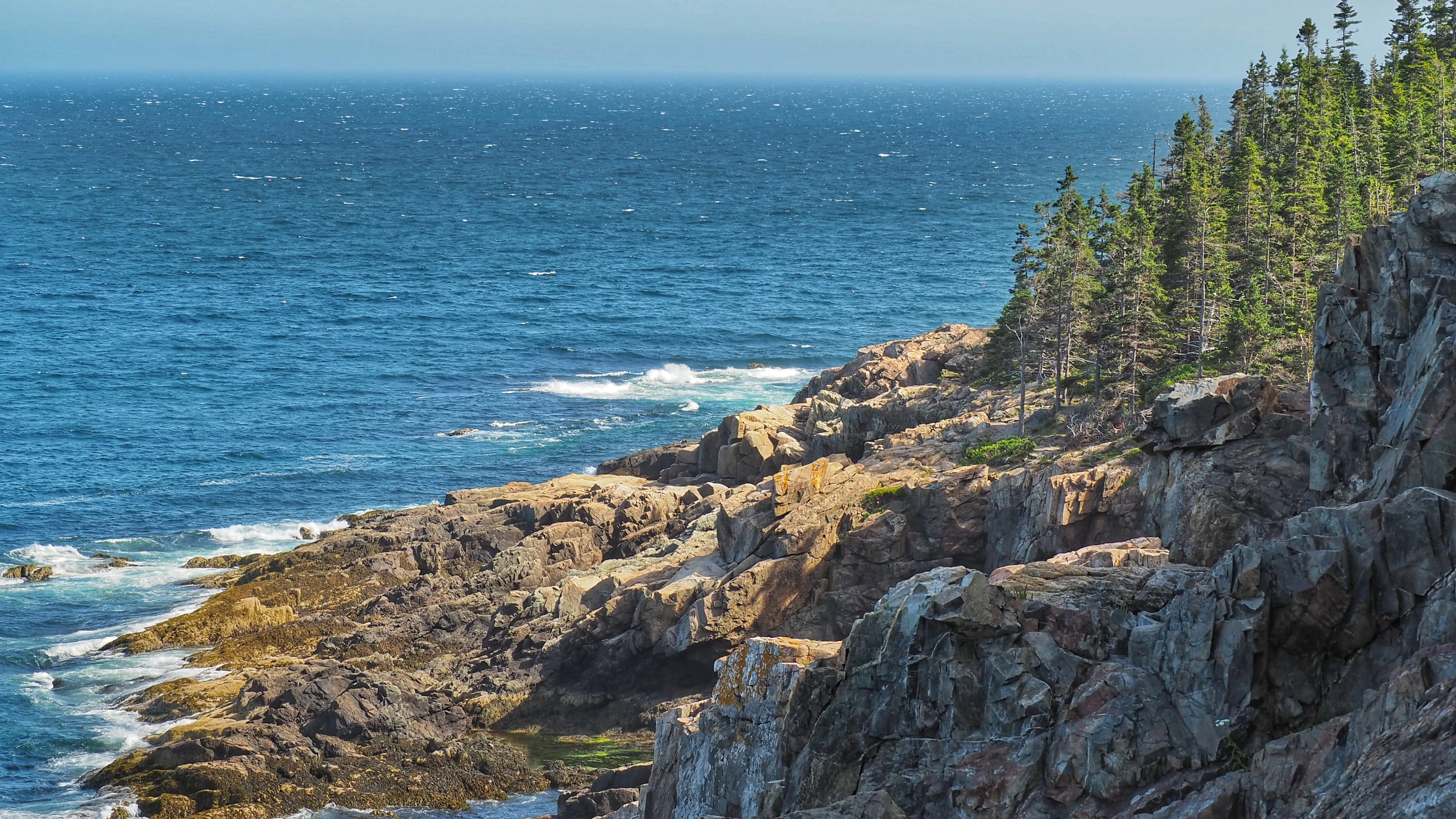 Otter Cliff