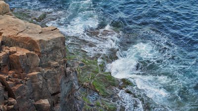 Otter Cliff