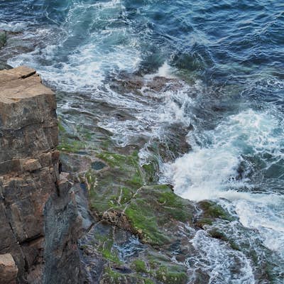 Explore Otter Cliff