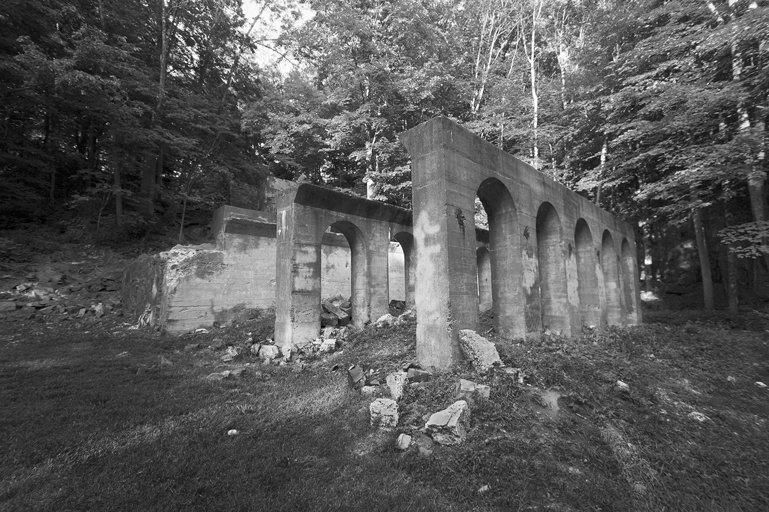 Hike the Mill River Trail to the Blue Trail at Sleeping Giant SP