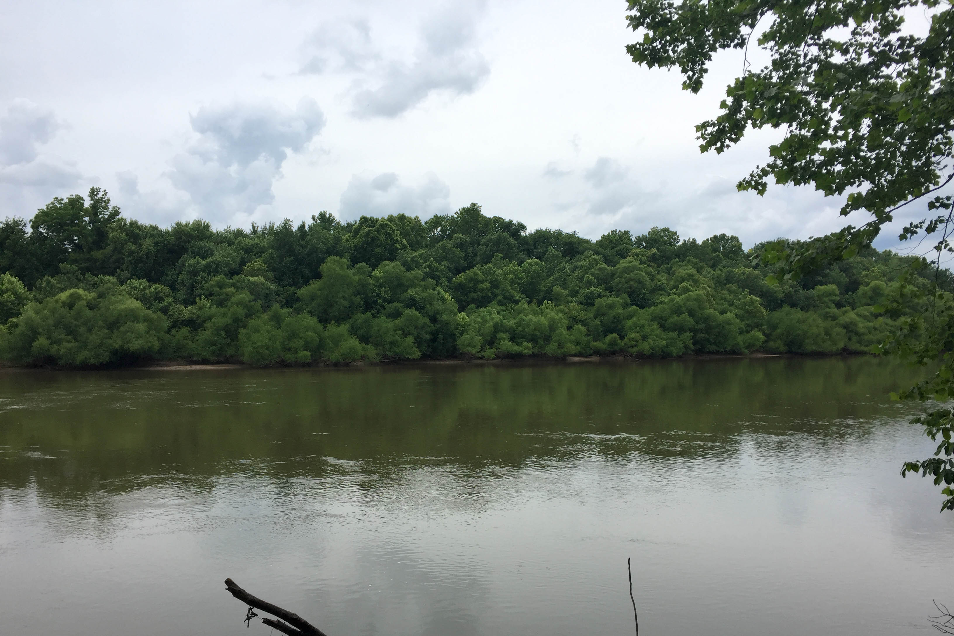 Hike the River Trail at Congaree National Park