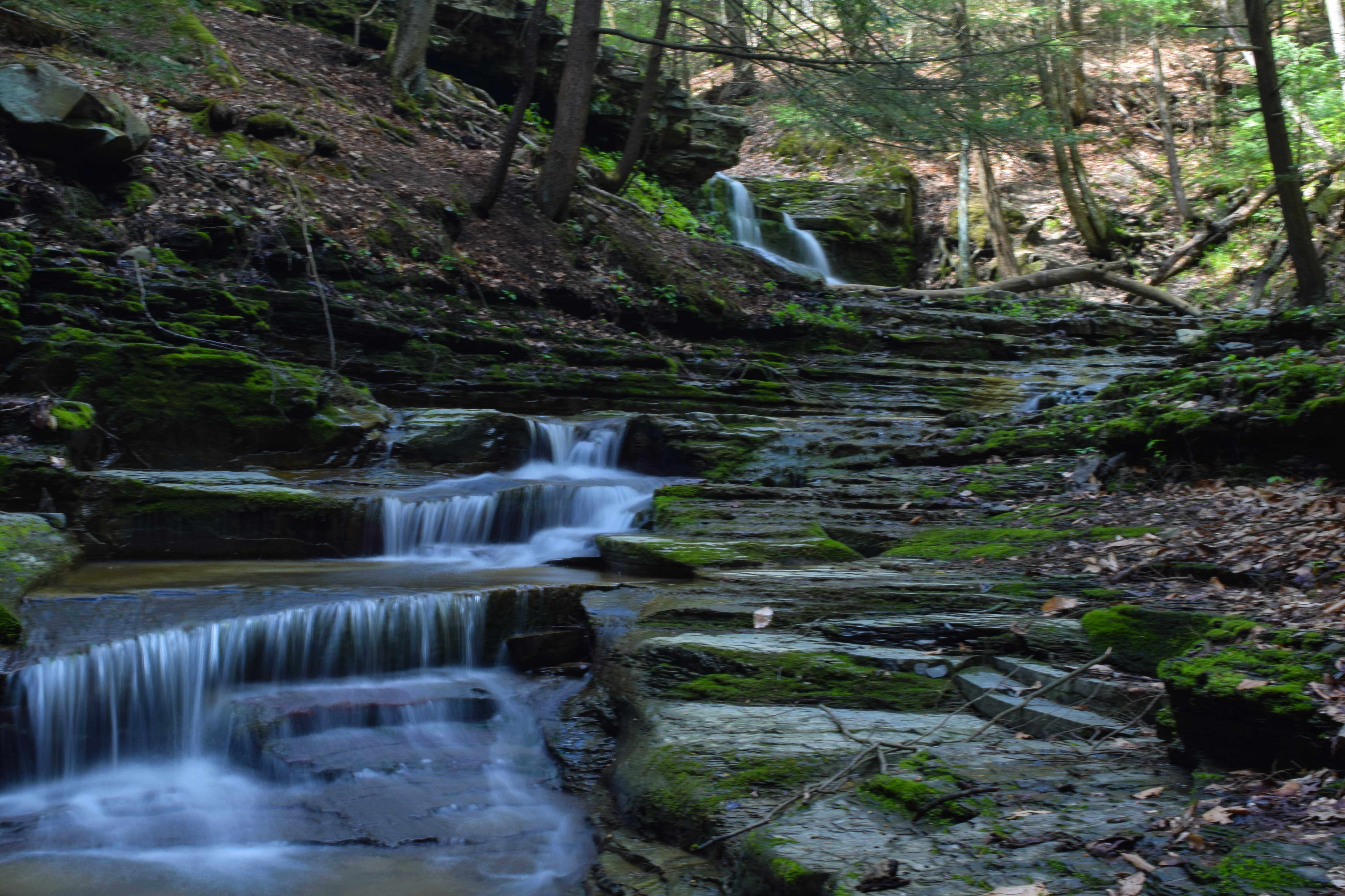 Hike the IBM Glen Preserve, Endwell, New York