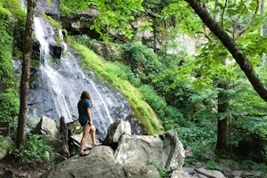 Hike to Hen Wallow Falls in Great Smoky Mountains NP