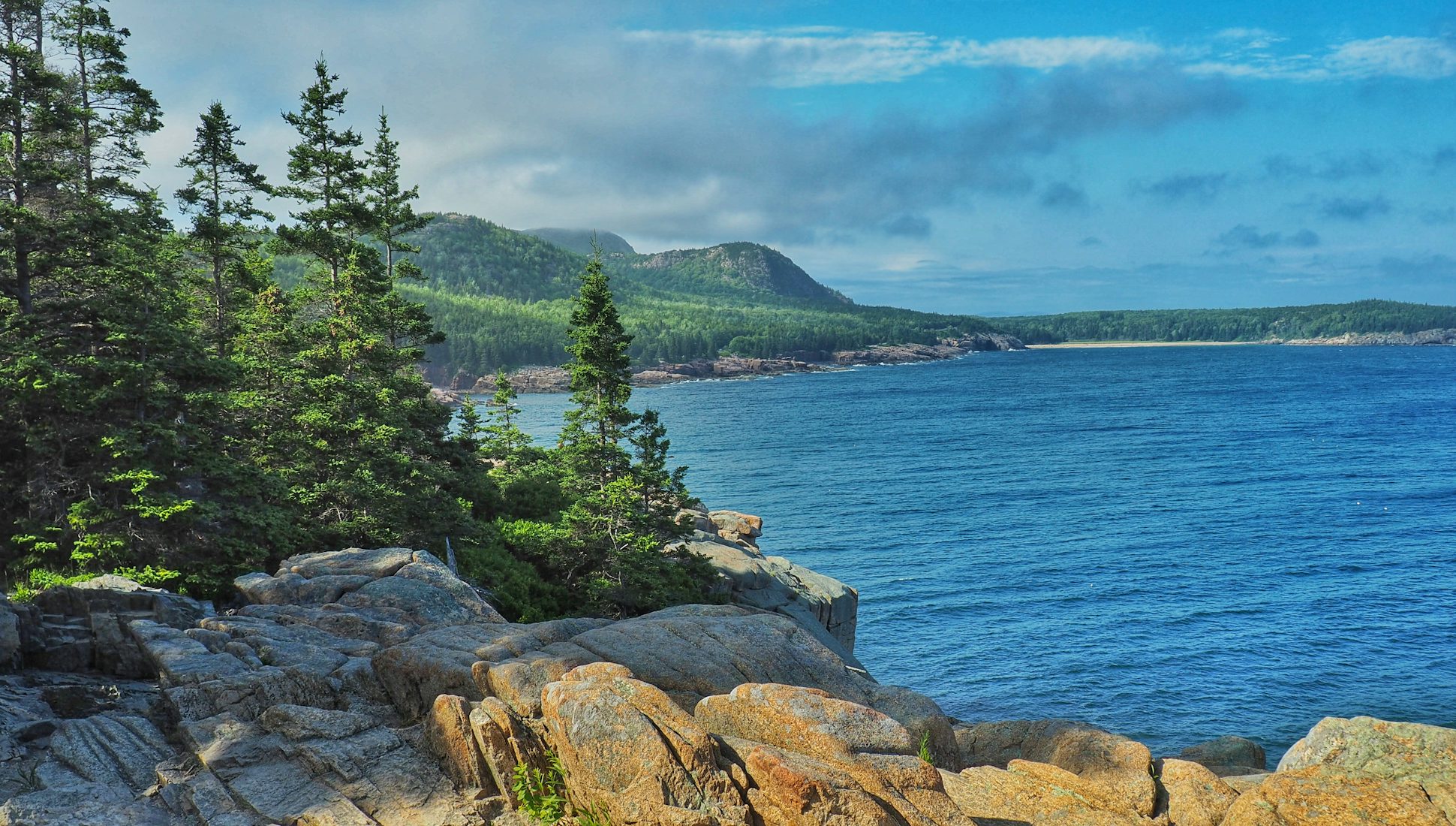 tours for acadia national park