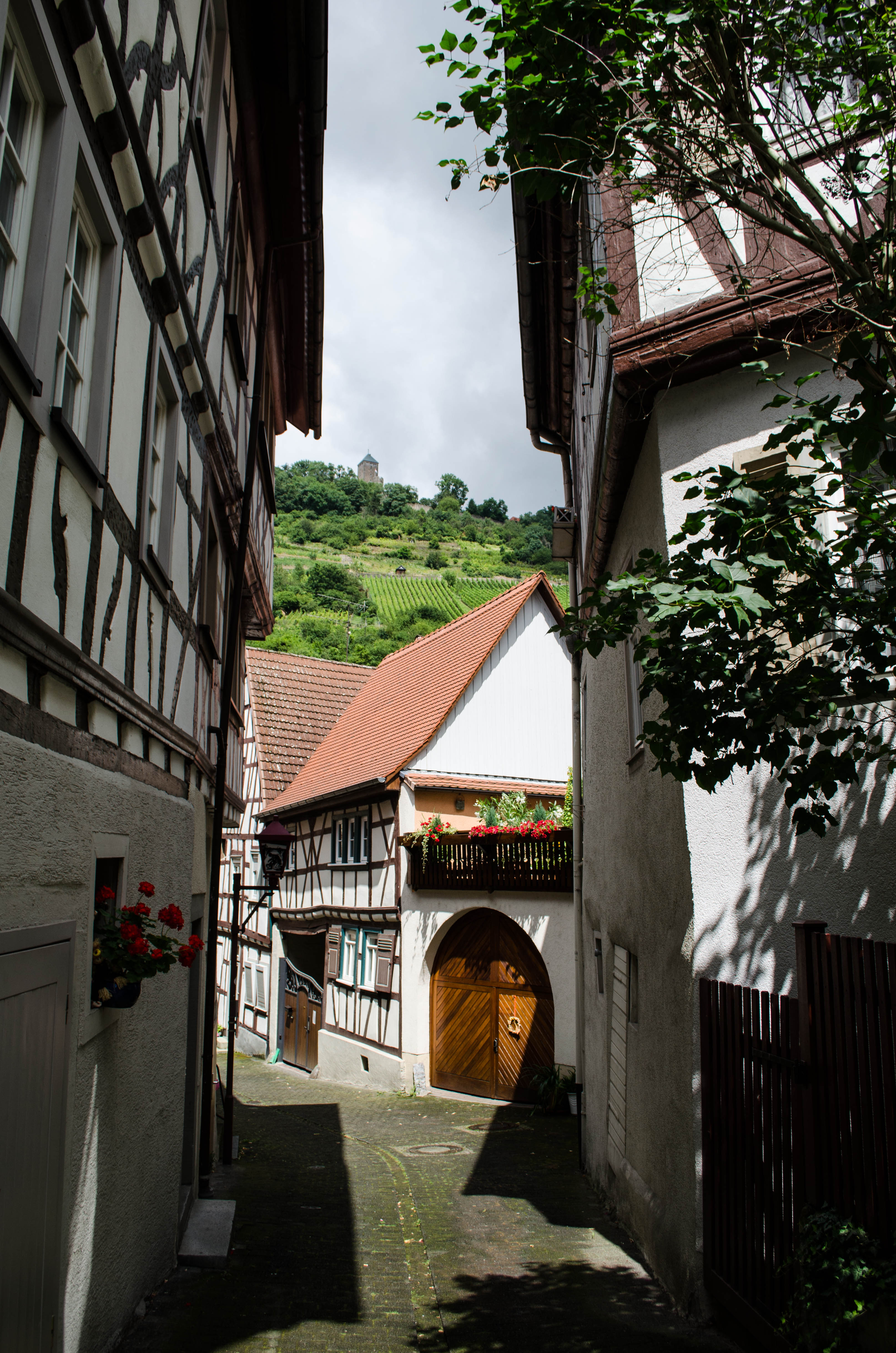 Hike Through Vineyards to Starkenburg Castle