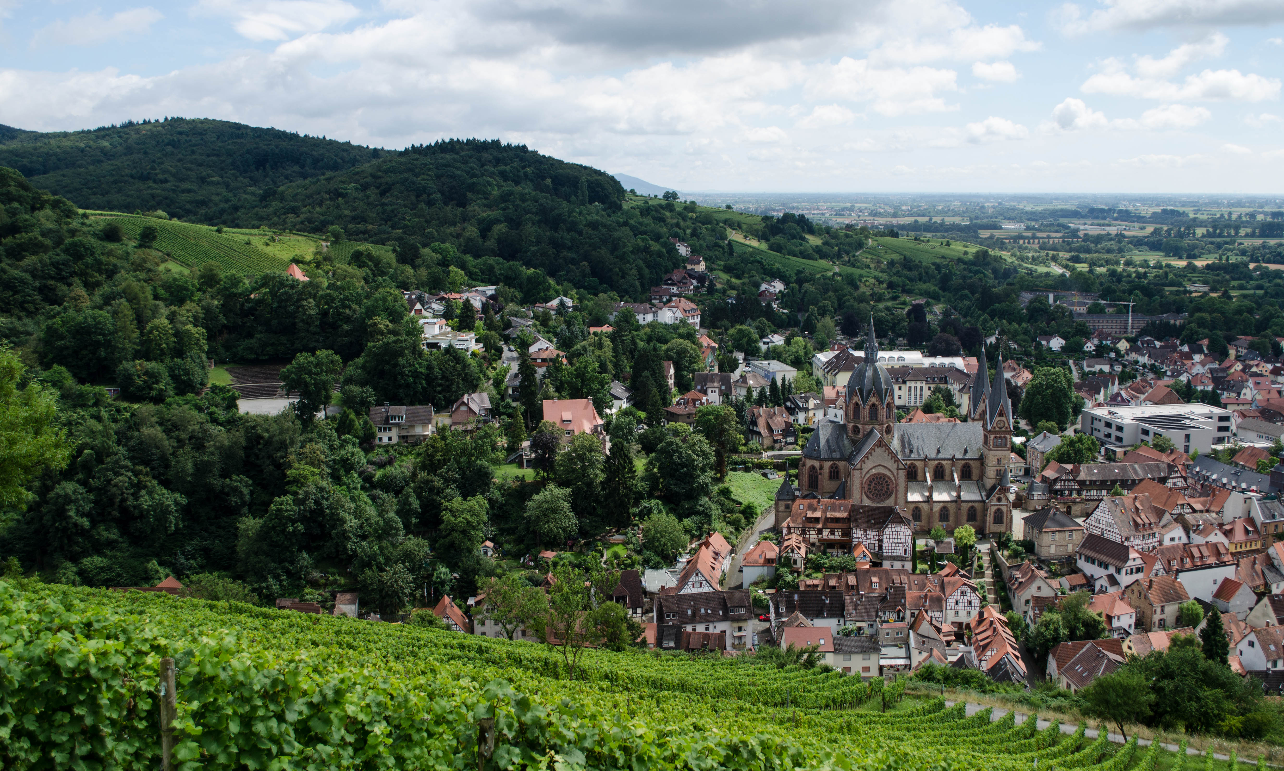 Hike Through Vineyards to Starkenburg Castle