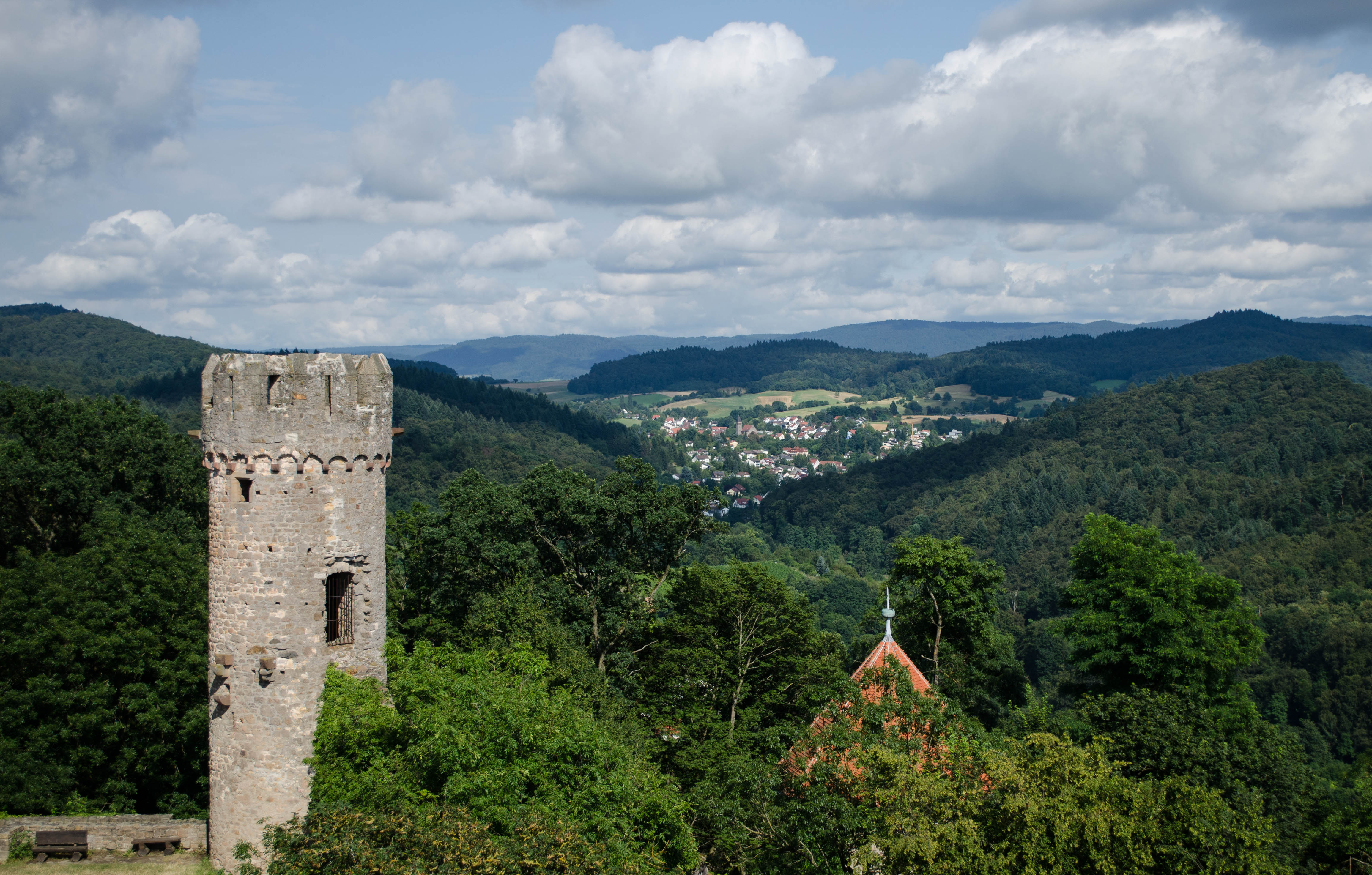 Hike Through Vineyards to Starkenburg Castle