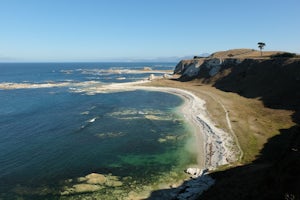 Hike the Kaikoura Peninsula