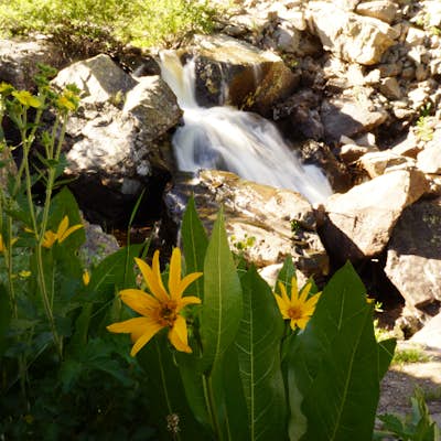 Hike Fish Creek Falls in Steamboat Springs