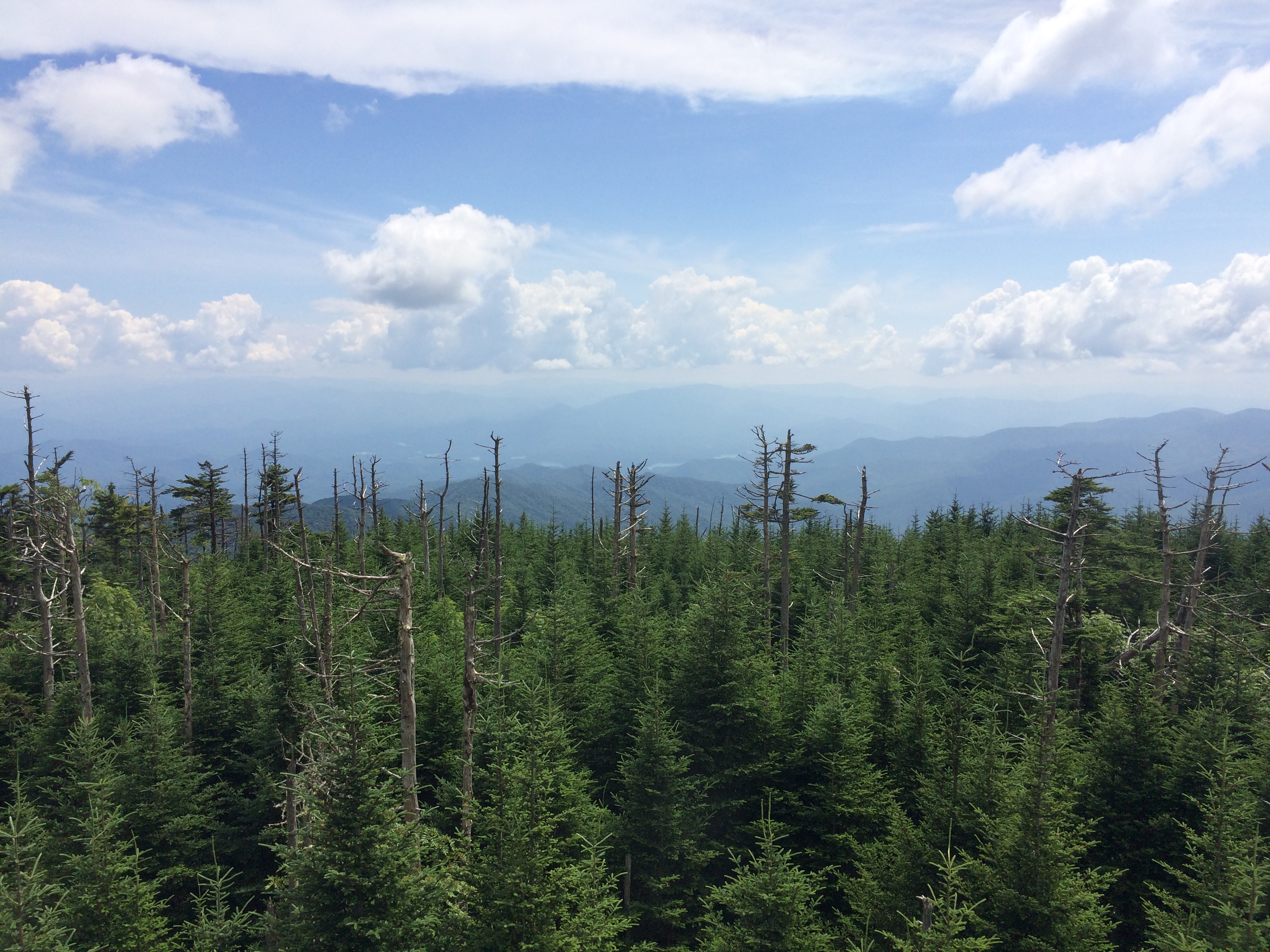 Clingmans Dome Loop