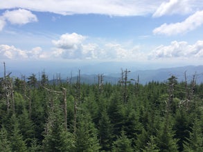 Clingmans Dome Loop