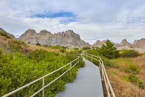 Cliff Shelf Nature Trail
