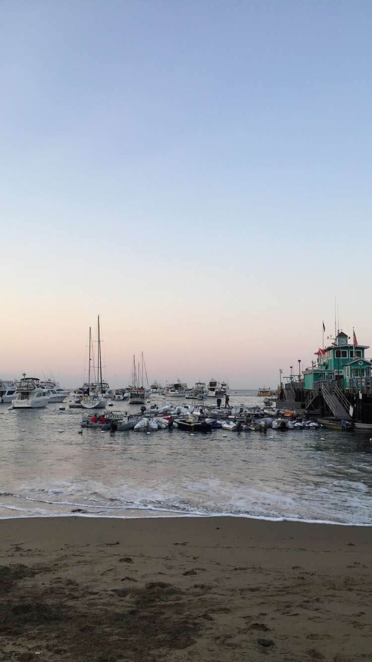 Camp at Hermit Gulch on Catalina Island 
