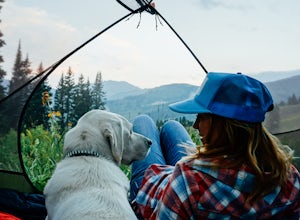 17 Tips for Bringing Your Dog into the Wilderness