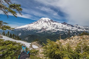 Chasing Epic Views in Mount Rainier National Park