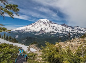 Chasing Epic Views in Mount Rainier National Park