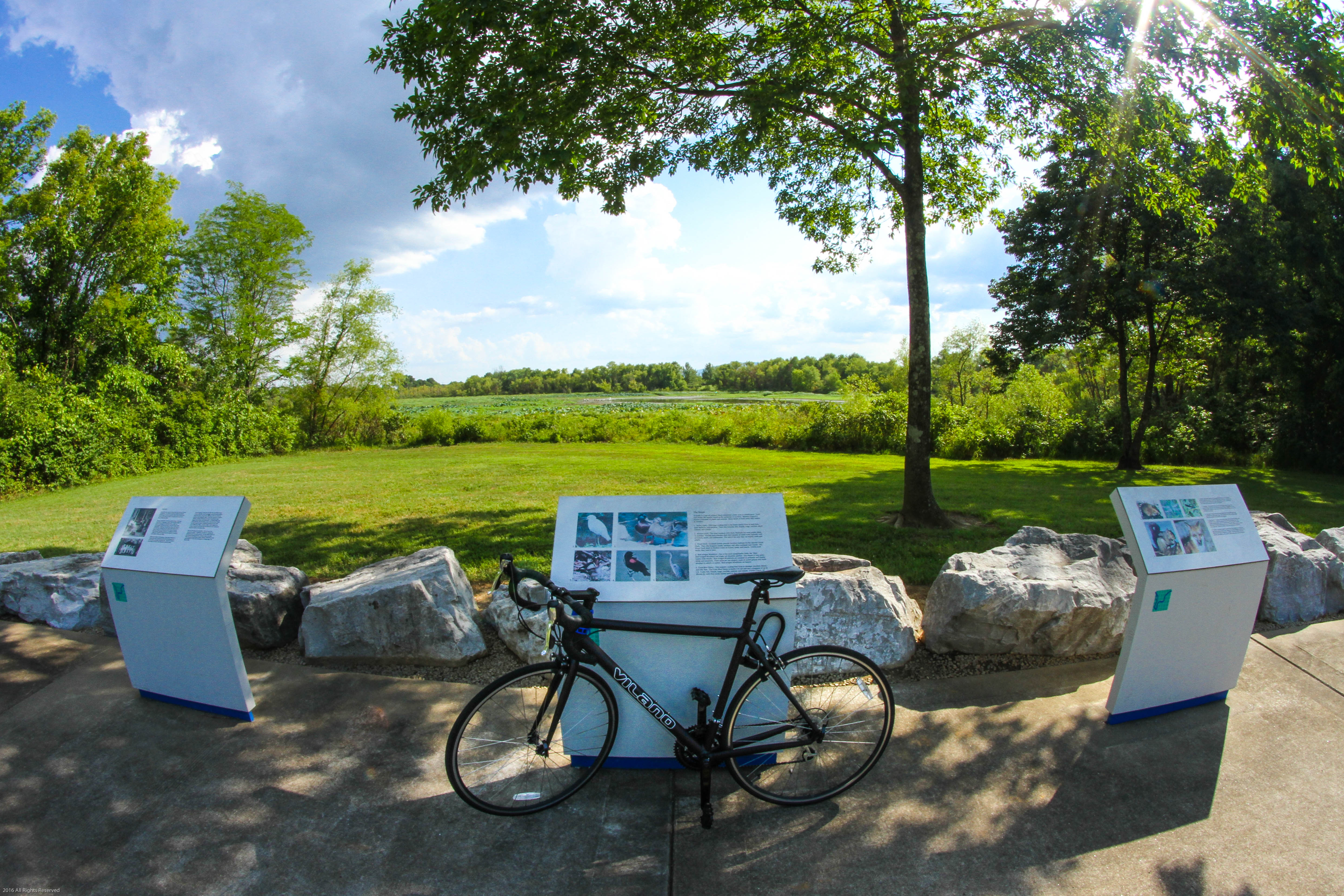 Bike or Run the Tennessee Riverwalk