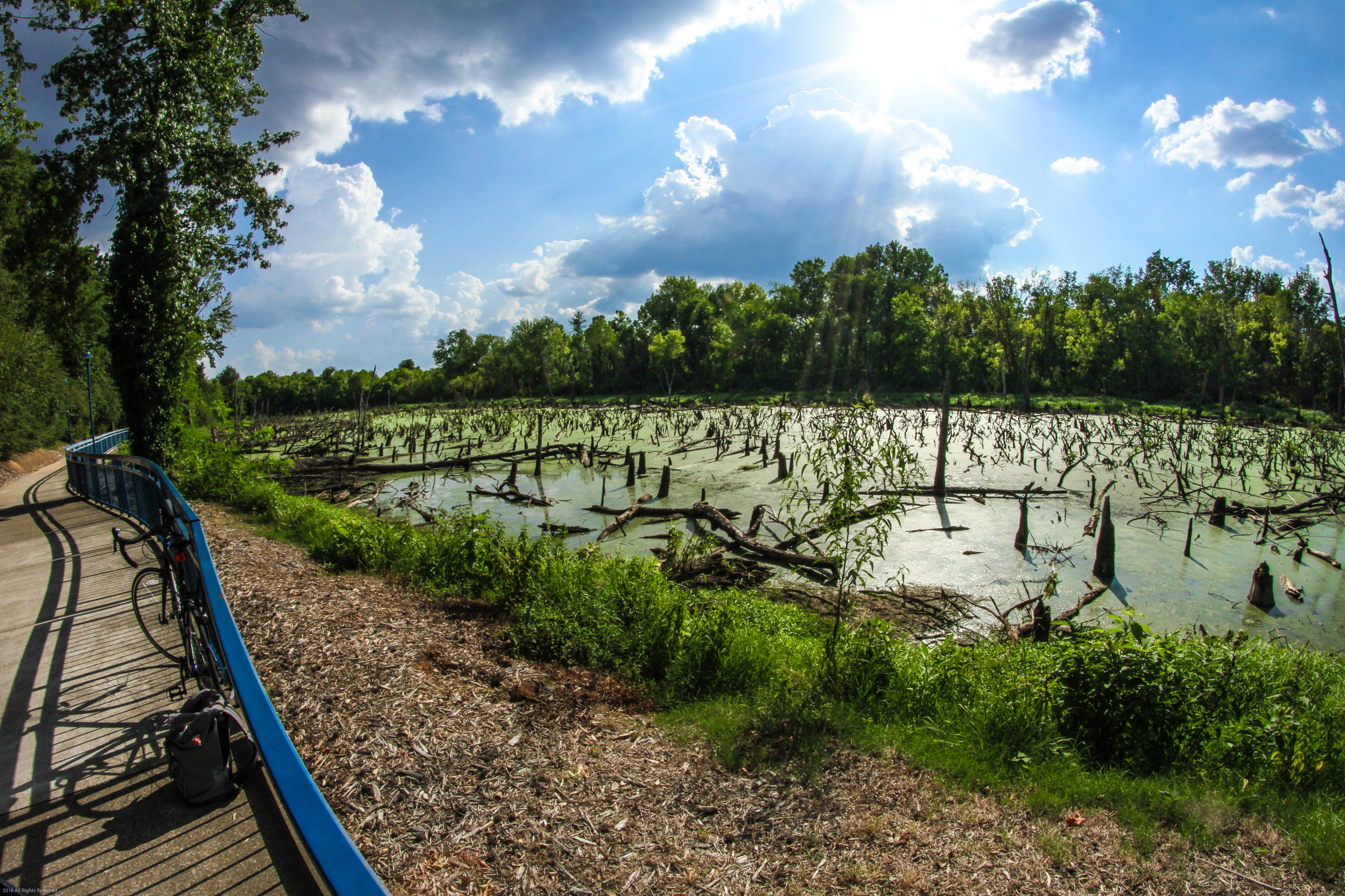 Bike or Run the Tennessee Riverwalk