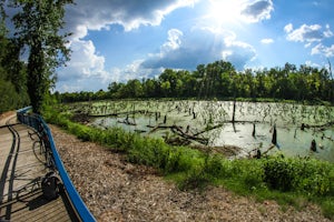 Bike or Run the Tennessee Riverwalk