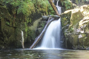 Hike to Sweet Creek Waterfall