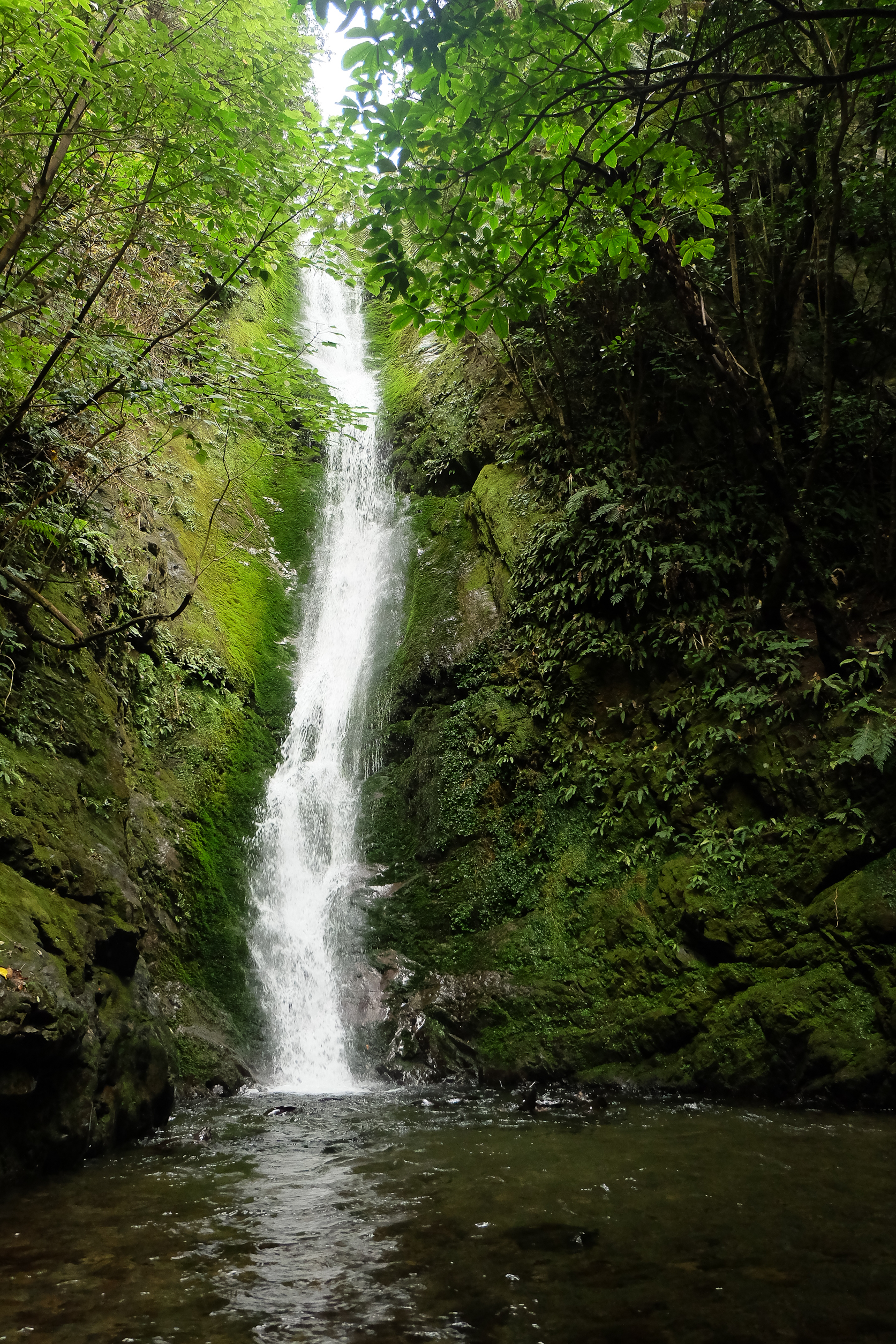 Explore Ohau Waterfall