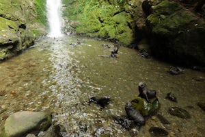 Explore Ohau Waterfall