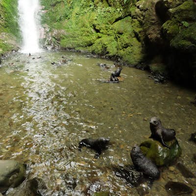 Explore Ohau Waterfall