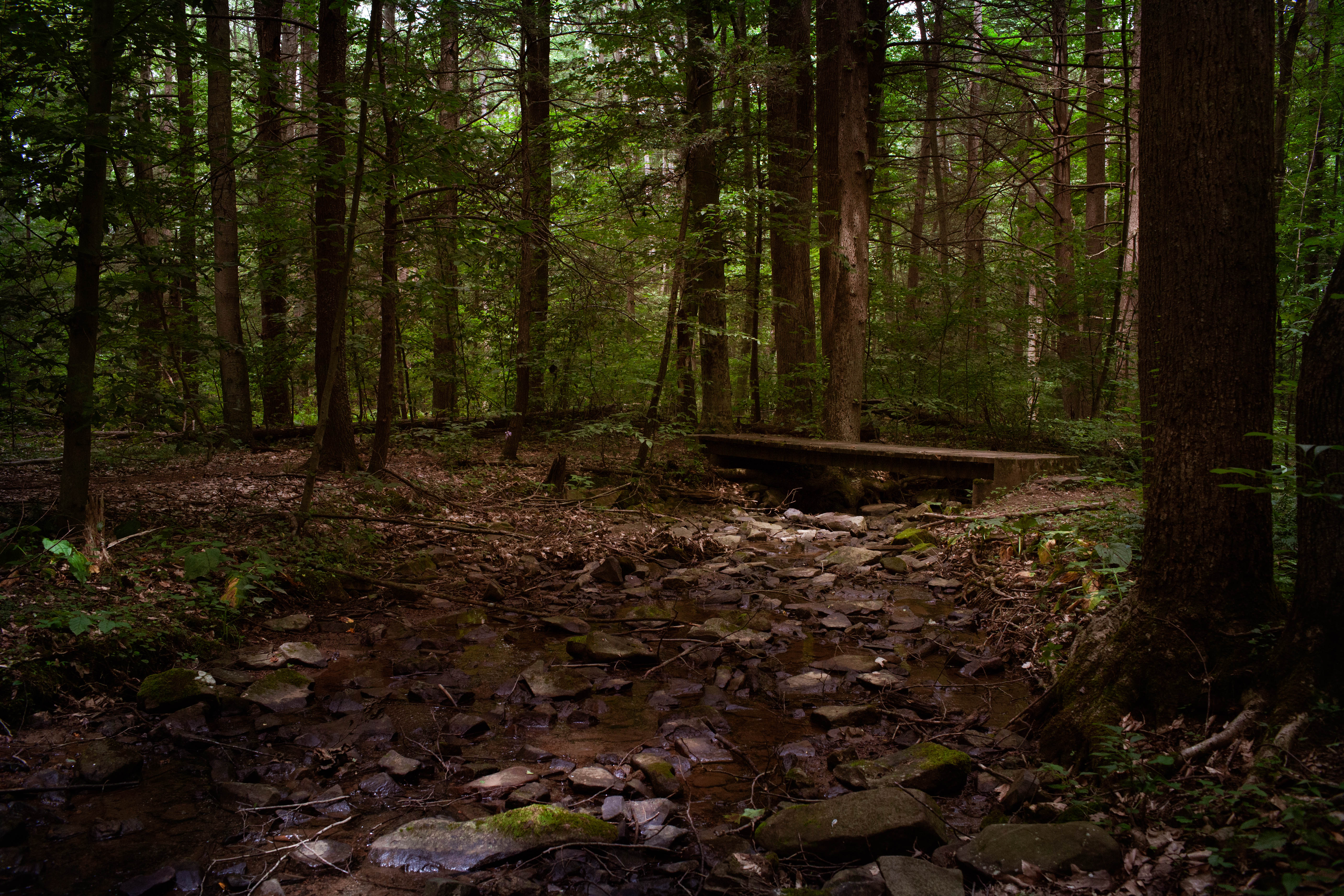 Hike the Buffalo Ridge Trail