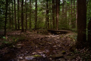 Hike the Buffalo Ridge Trail