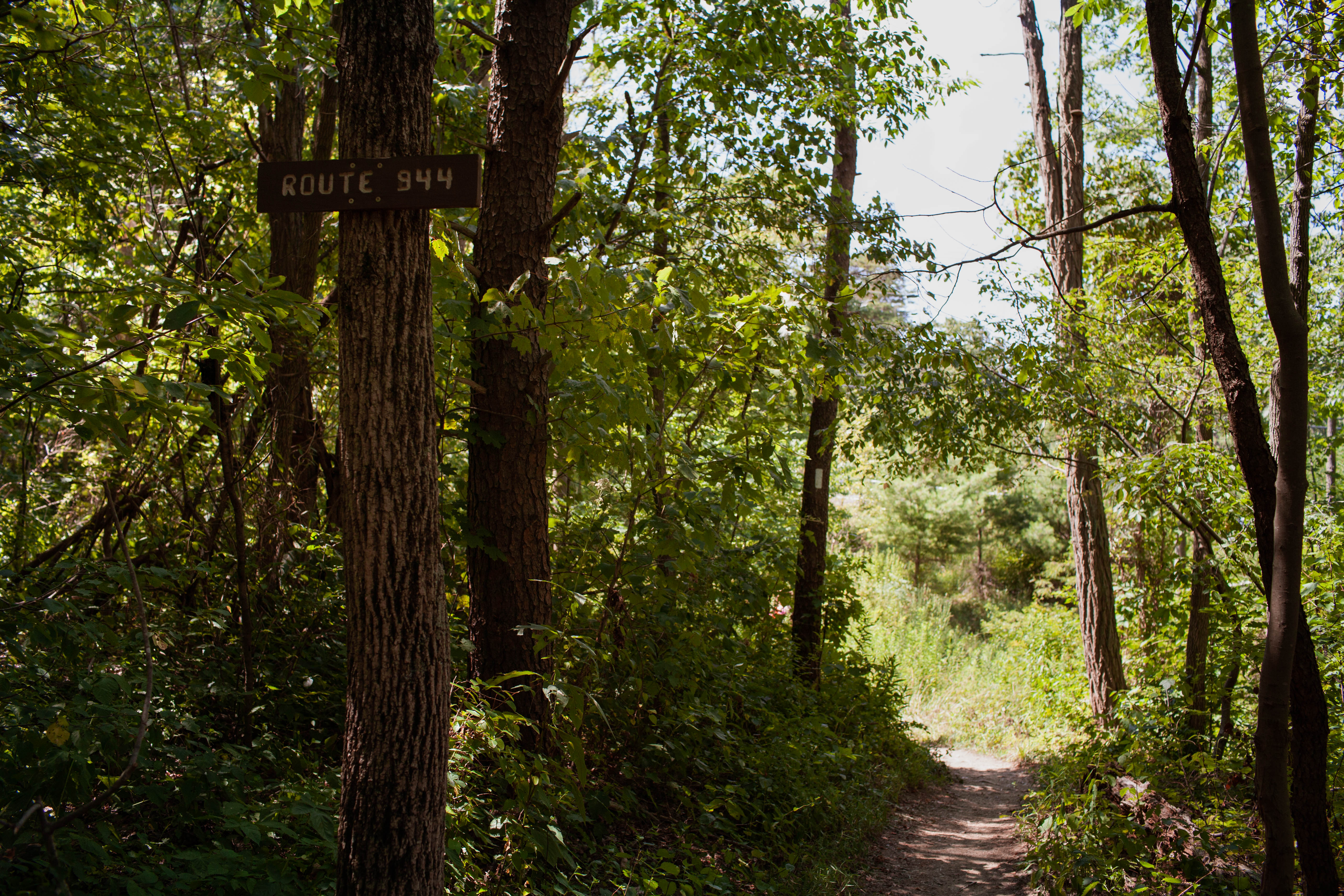 Cumberland Valley Overlook via Appalachian Trail