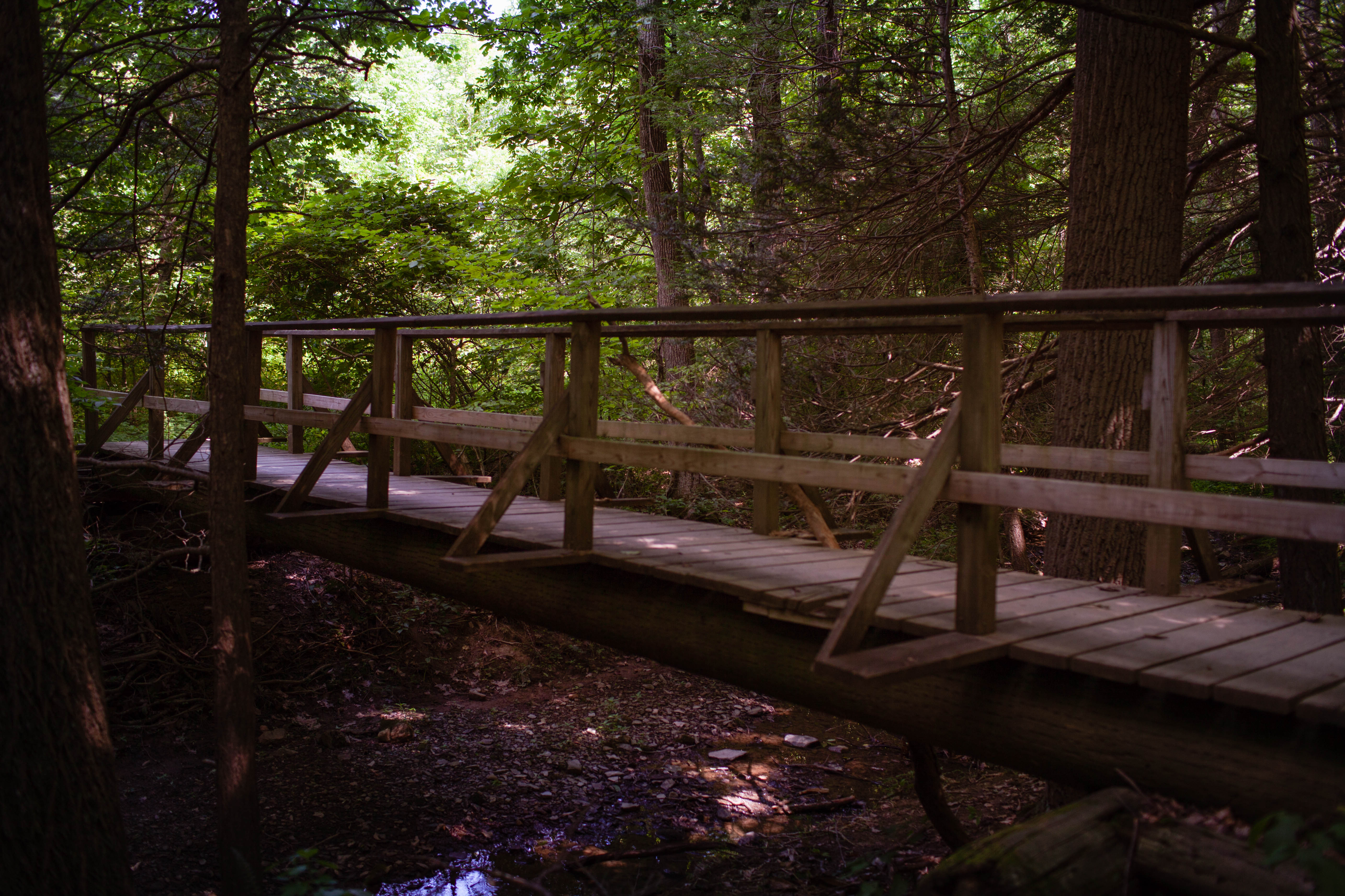 Cumberland Valley Overlook via Appalachian Trail