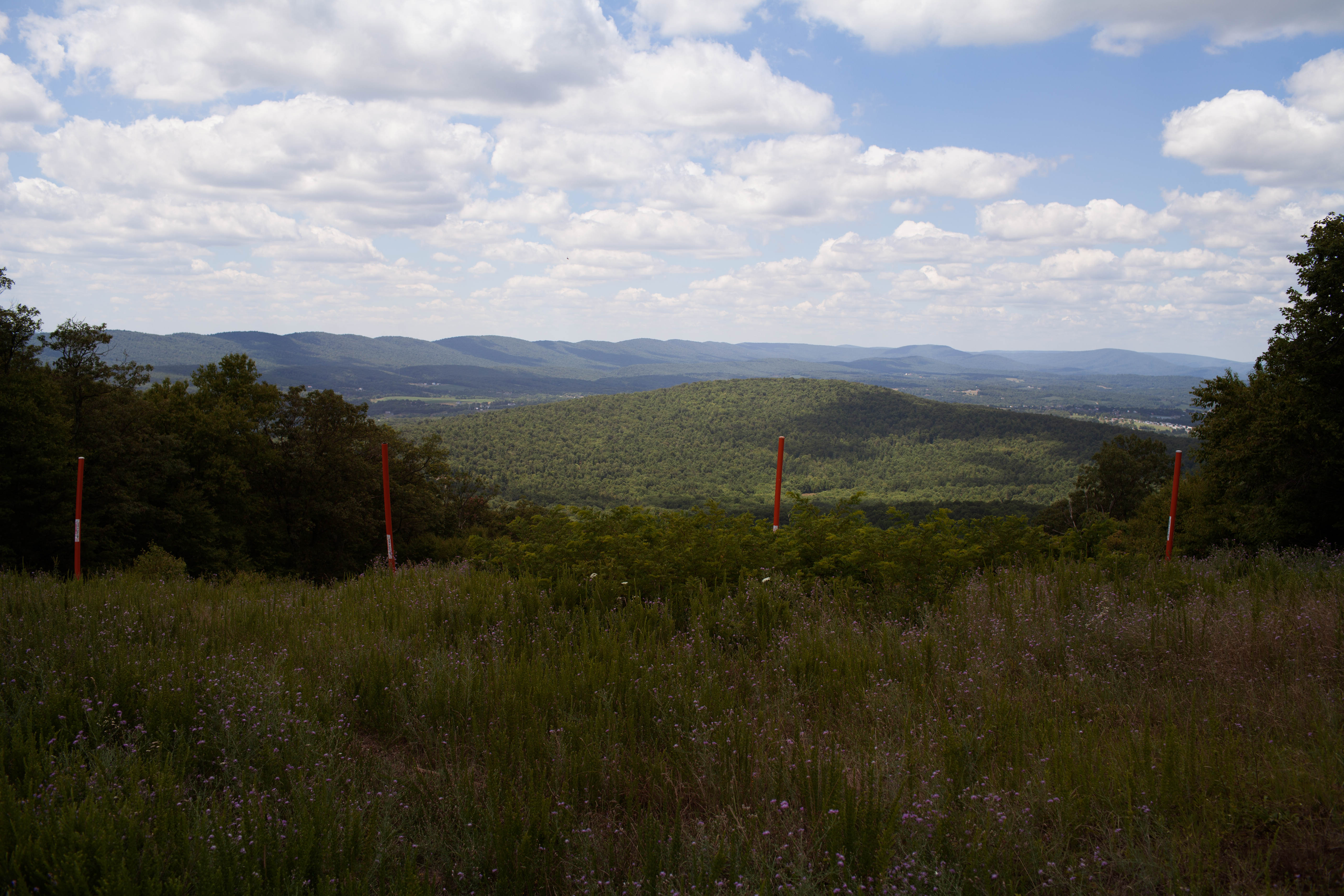 Hike to the Susquehanna Overlook