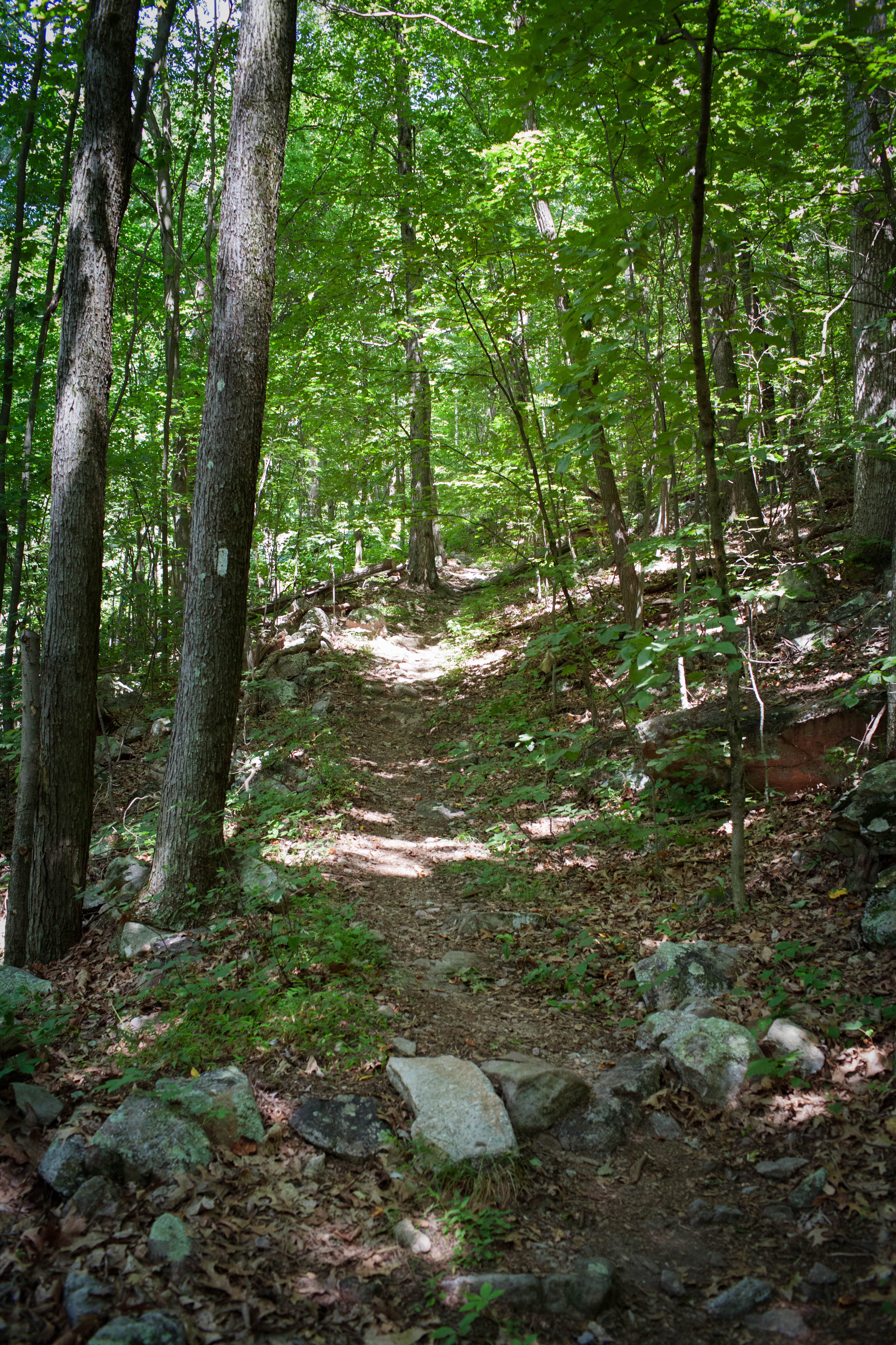 Hike to the Susquehanna Overlook