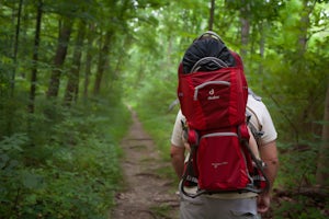 Hike Quaker Race's Lakeside Trail