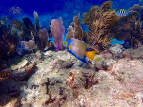 Snorkel at Sombrero Reef