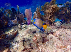 Snorkel at Sombrero Reef