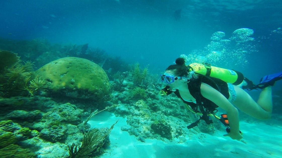 Photo Of Snorkel At Sombrero Reef 6137