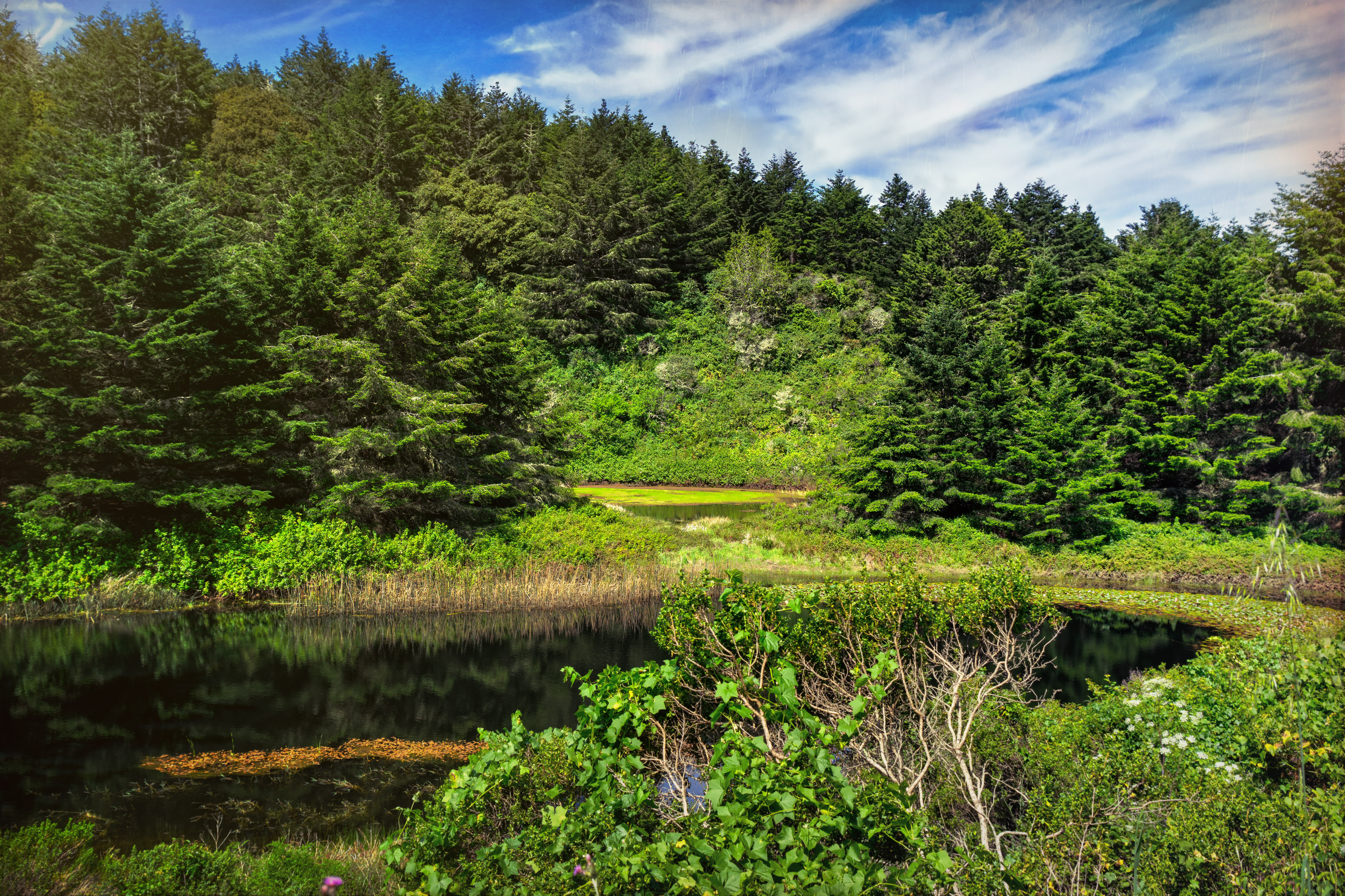 Glen Camp Loop via the Palomarin Trailhead