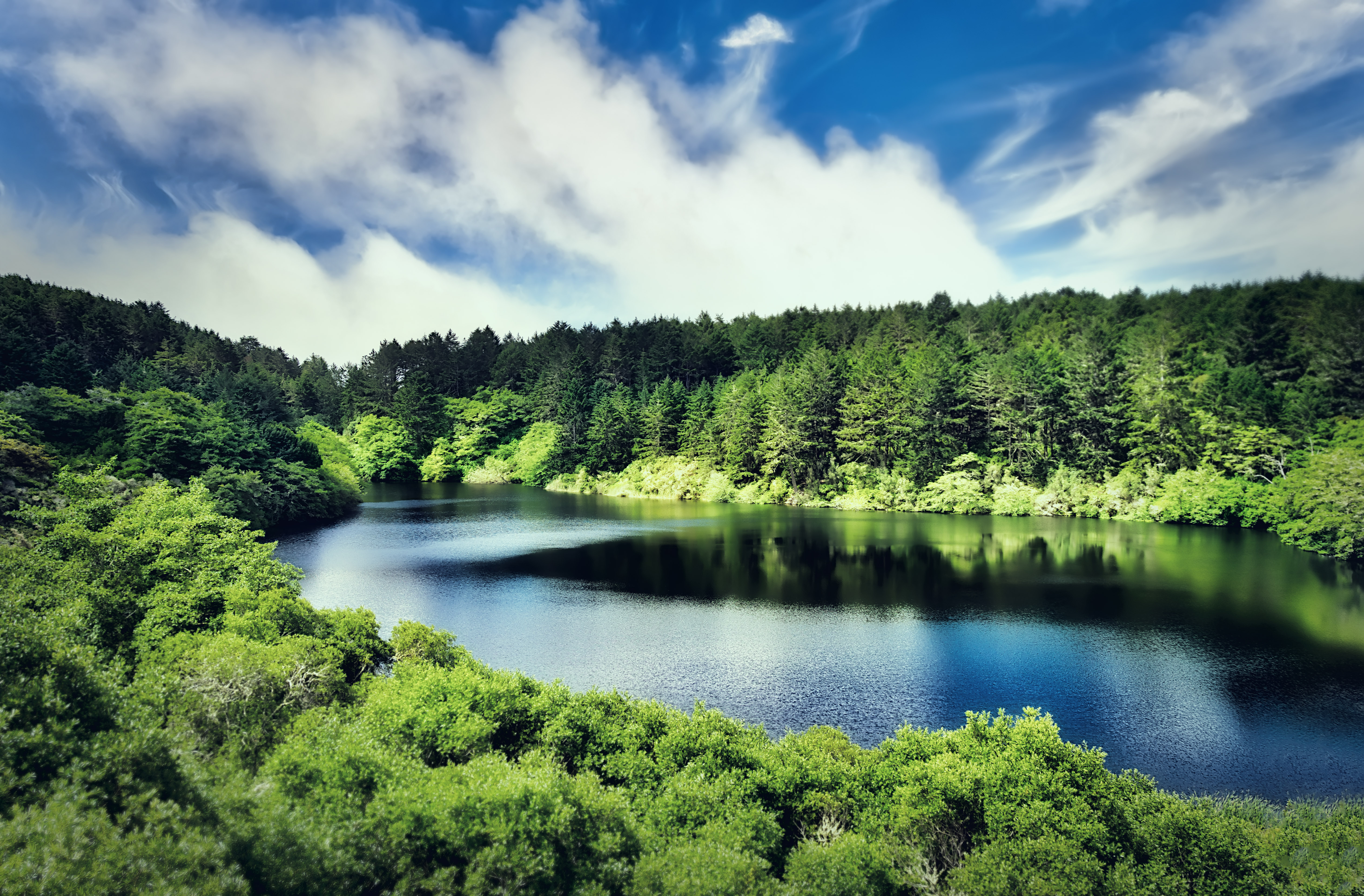 Glen Camp Loop via the Palomarin Trailhead