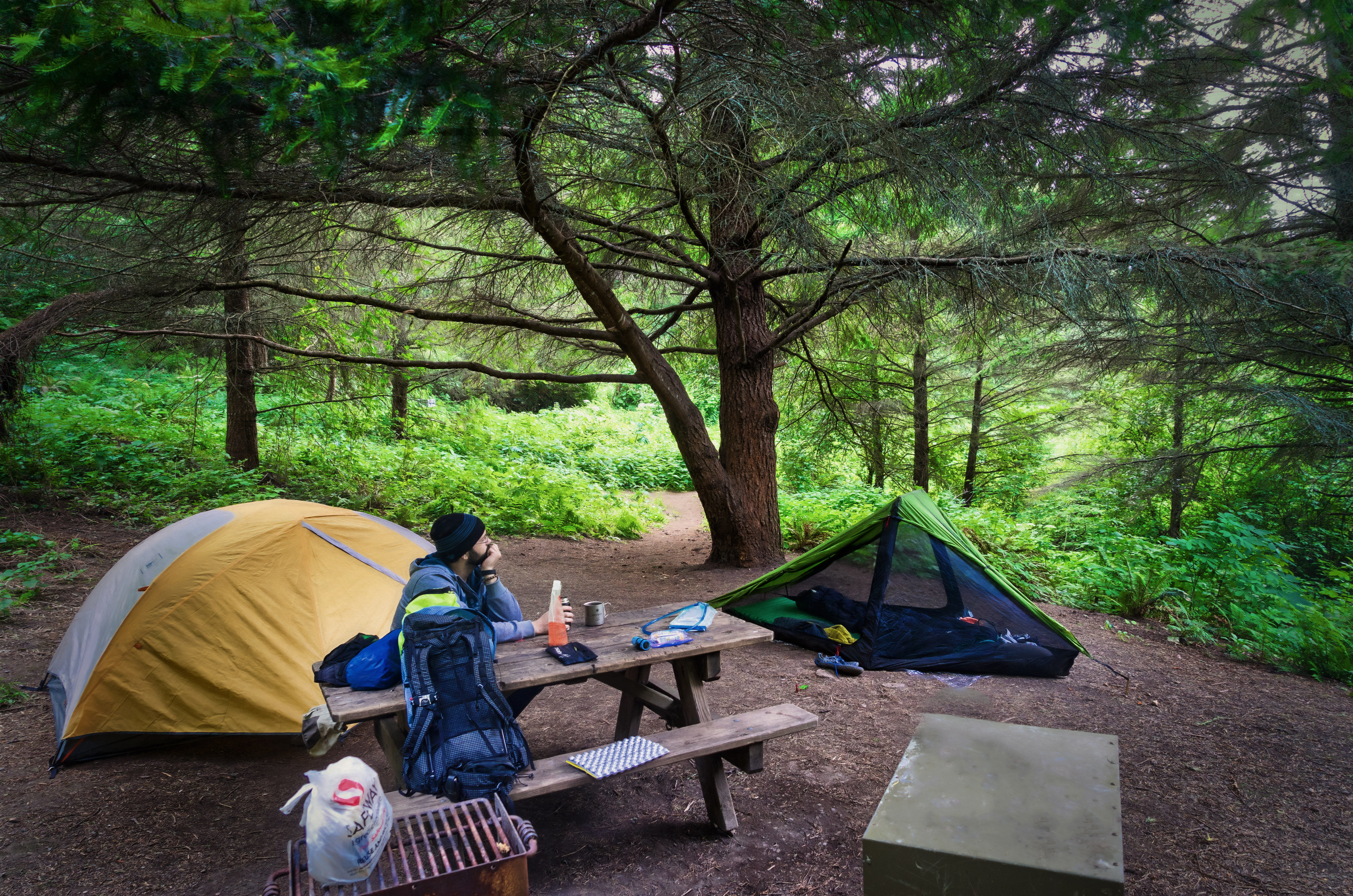Glen Camp Loop via the Palomarin Trailhead