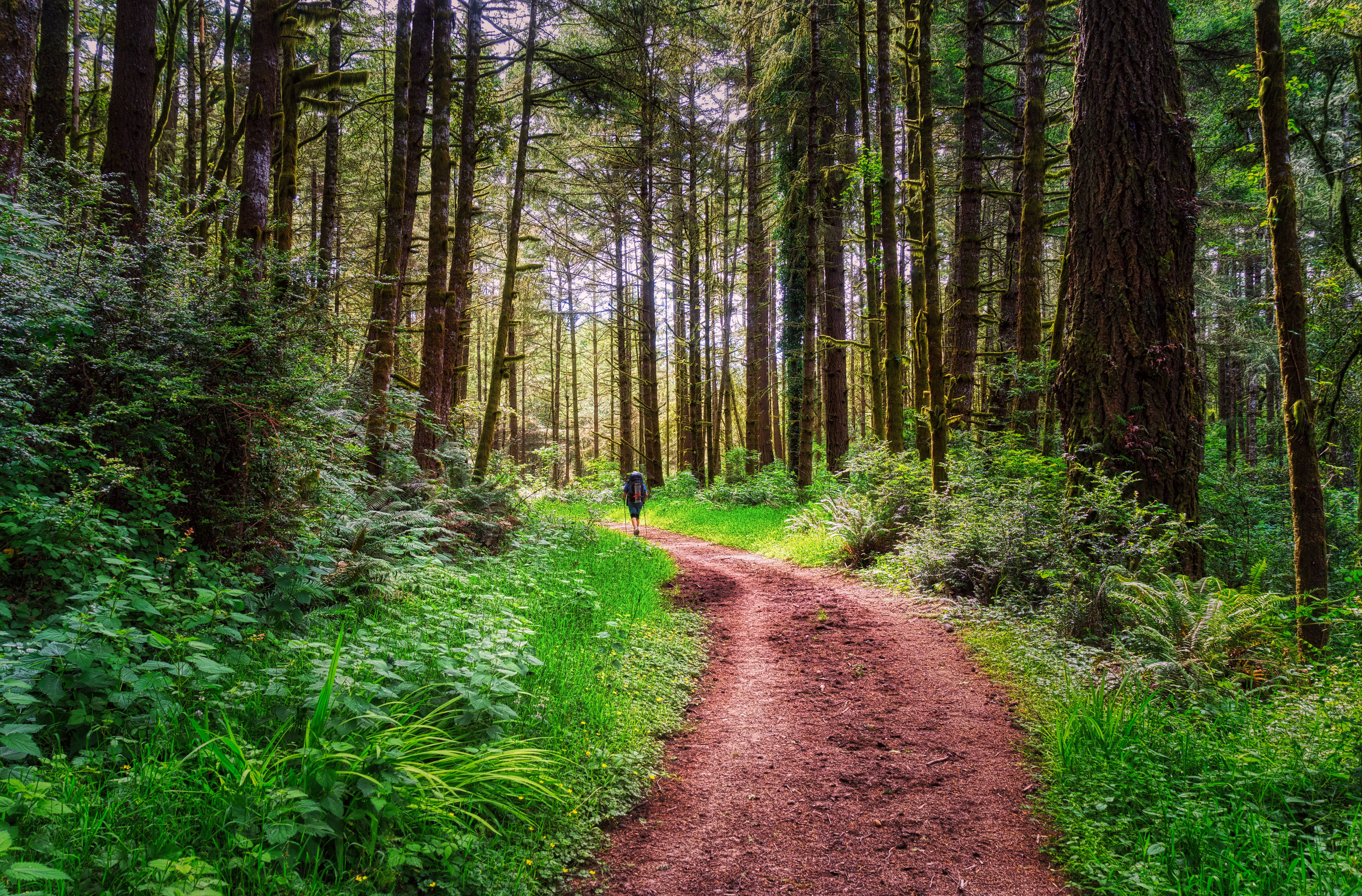 Glen Camp Loop via the Palomarin Trailhead