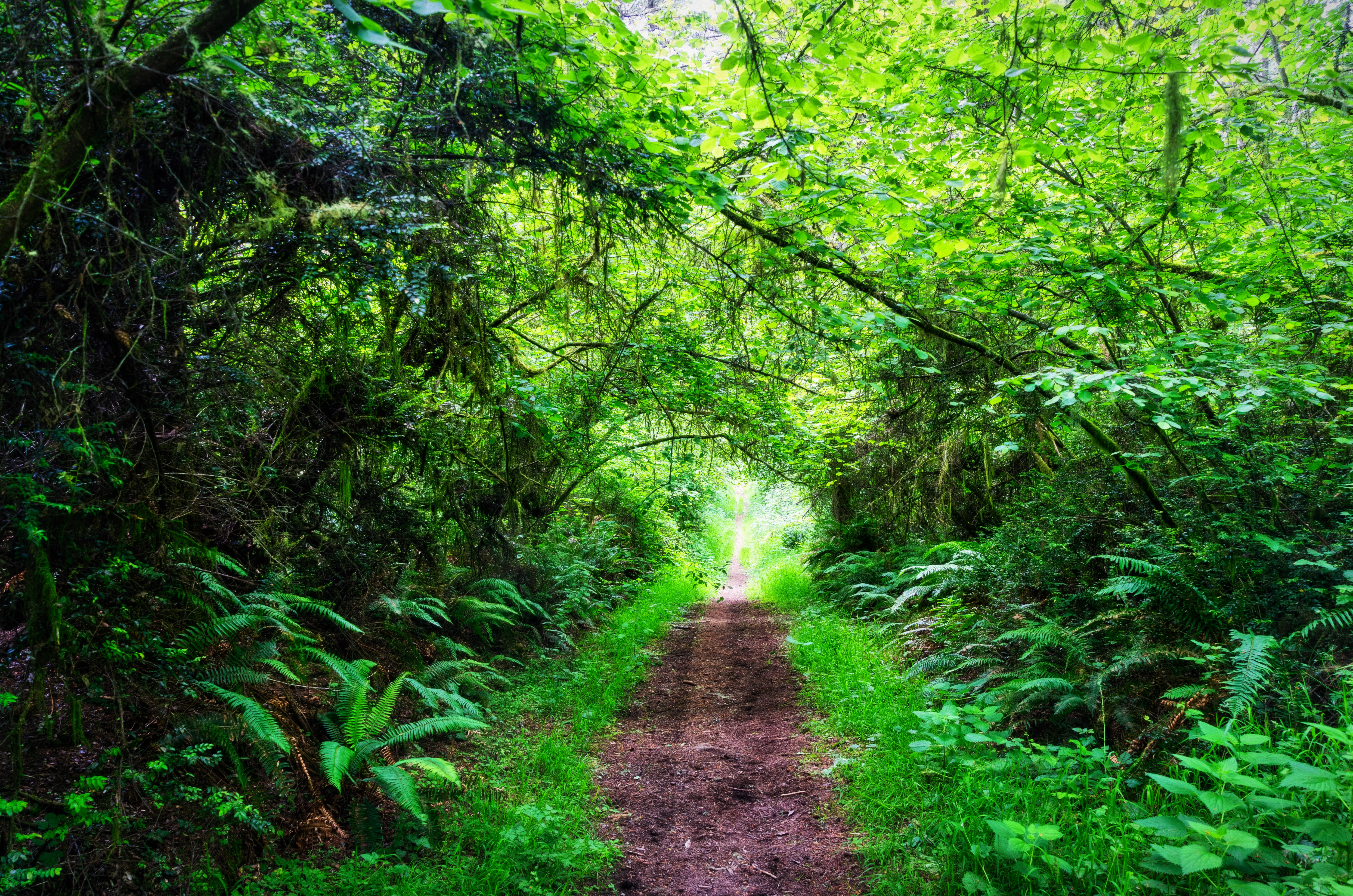 Glen Camp Loop via the Palomarin Trailhead