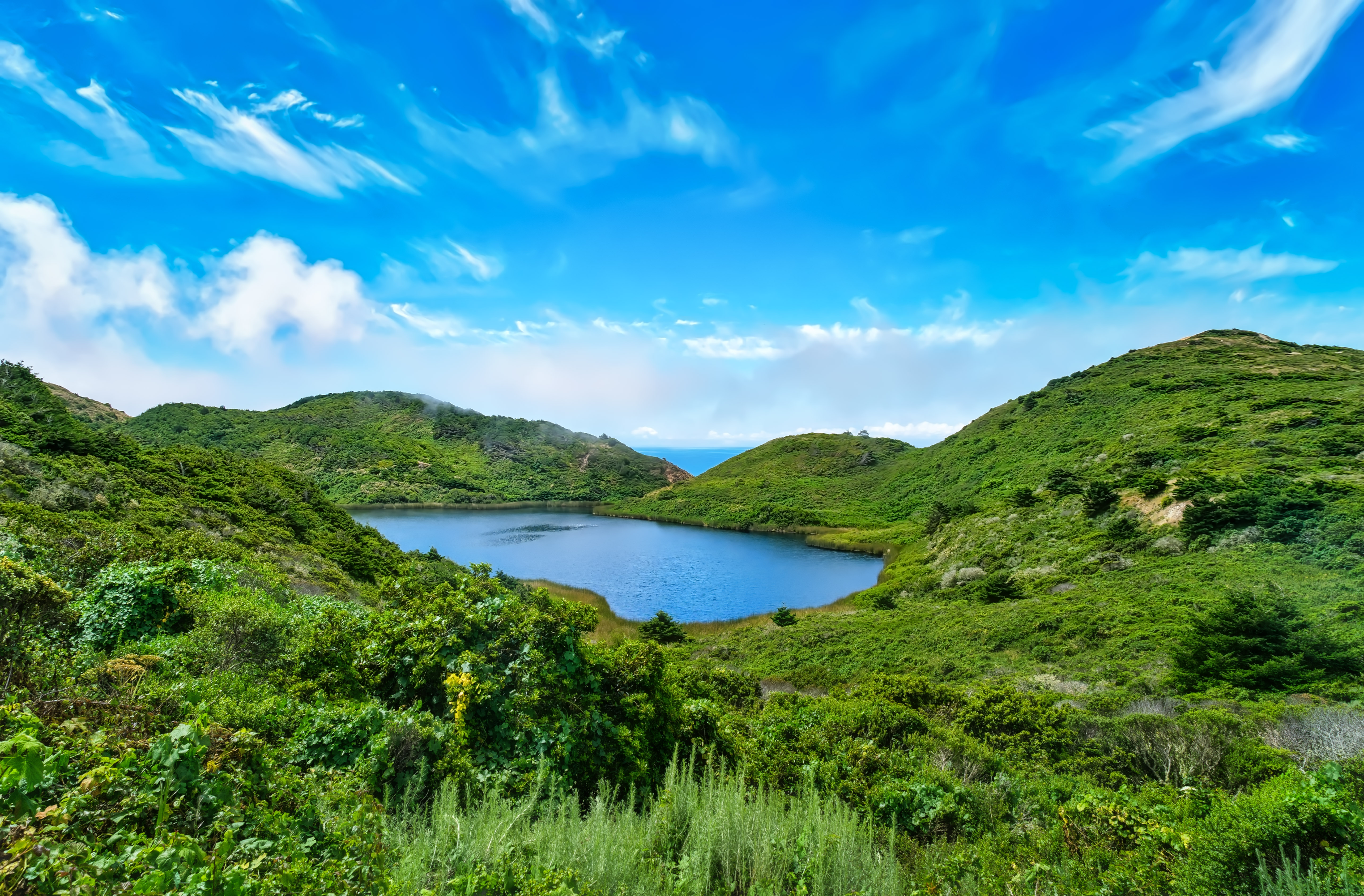 Glen Camp Loop via the Palomarin Trailhead