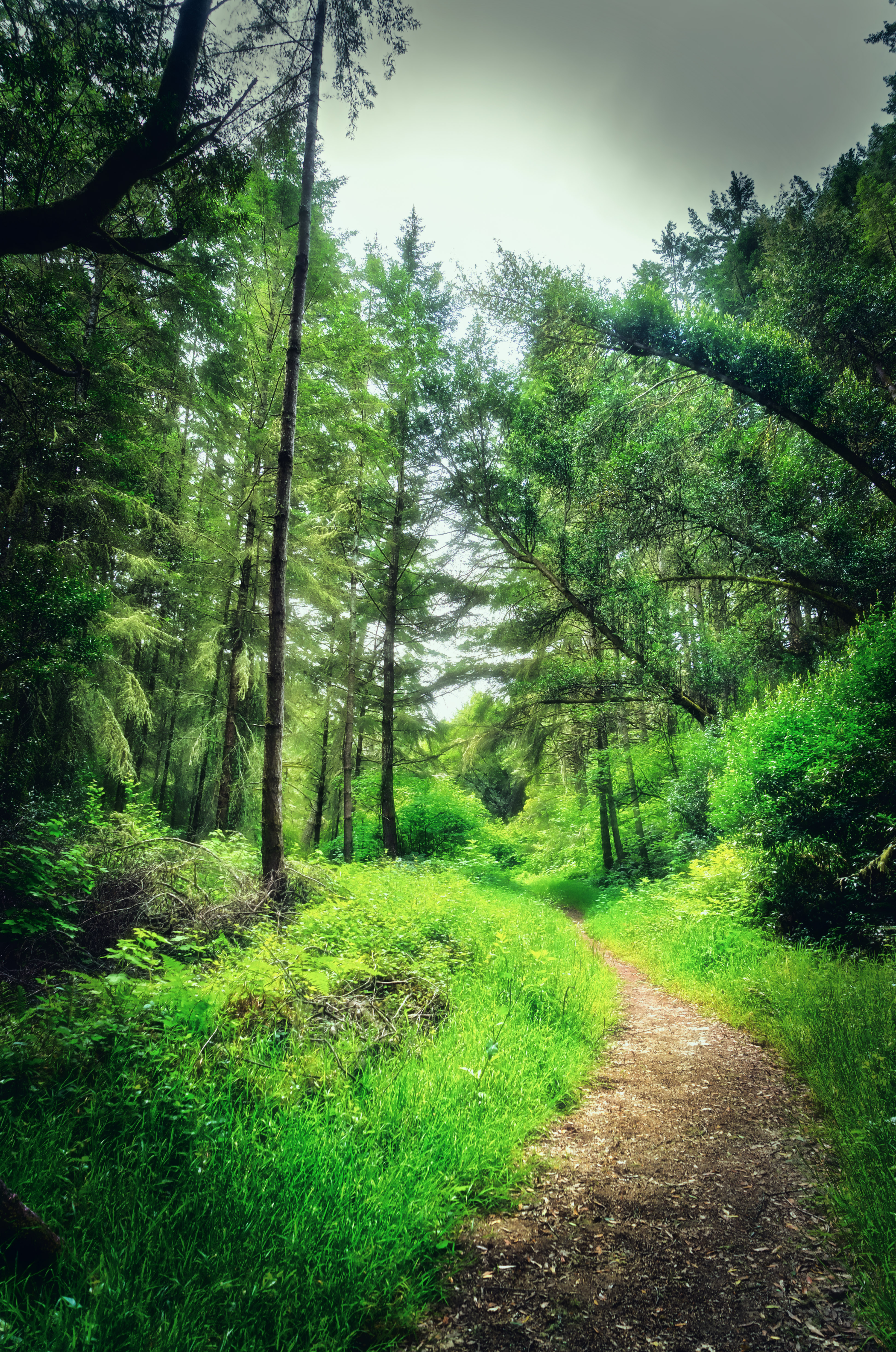 Glen Camp Loop via the Palomarin Trailhead