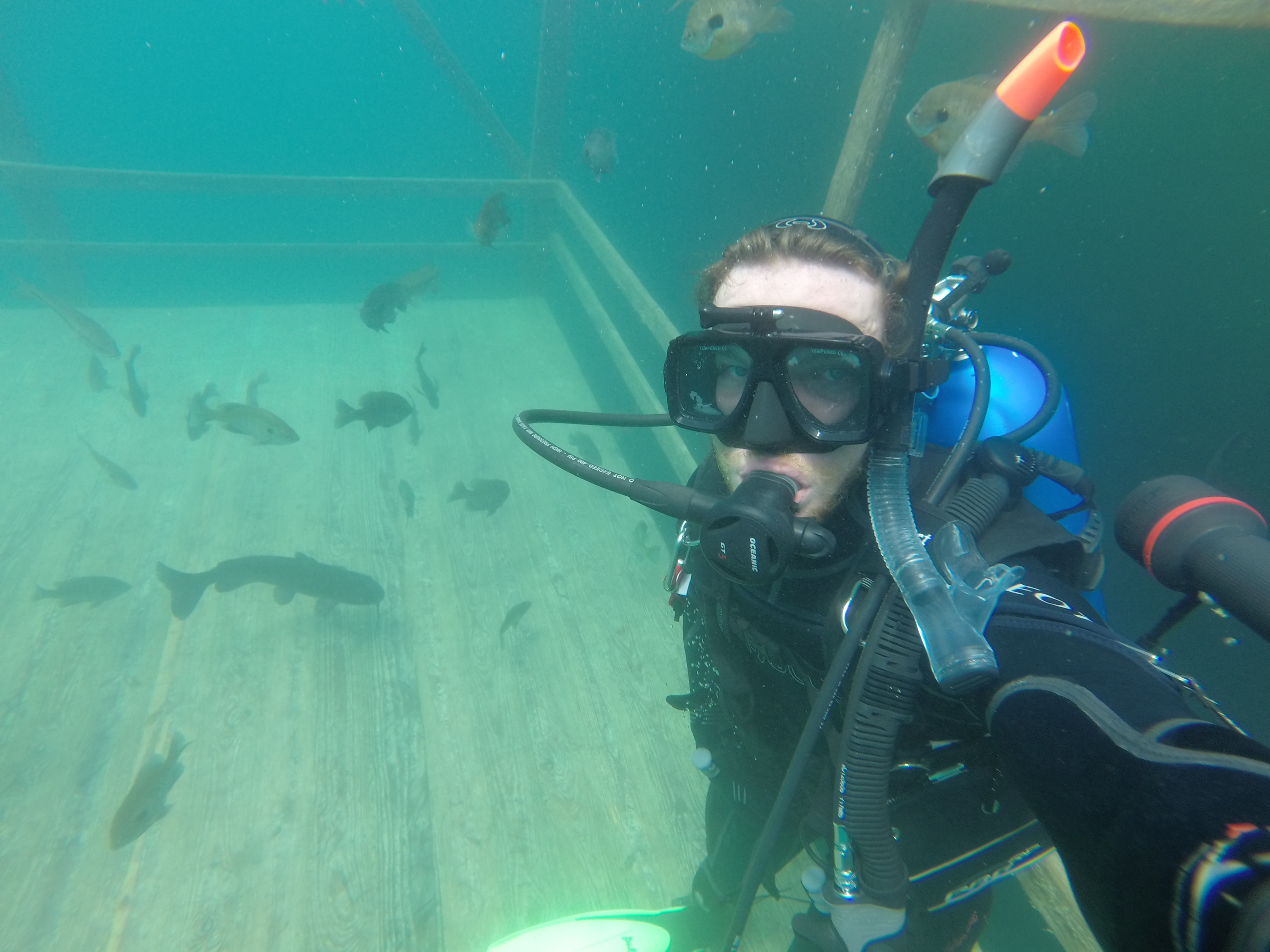 SCUBA Dive at Blue Water Quarry 