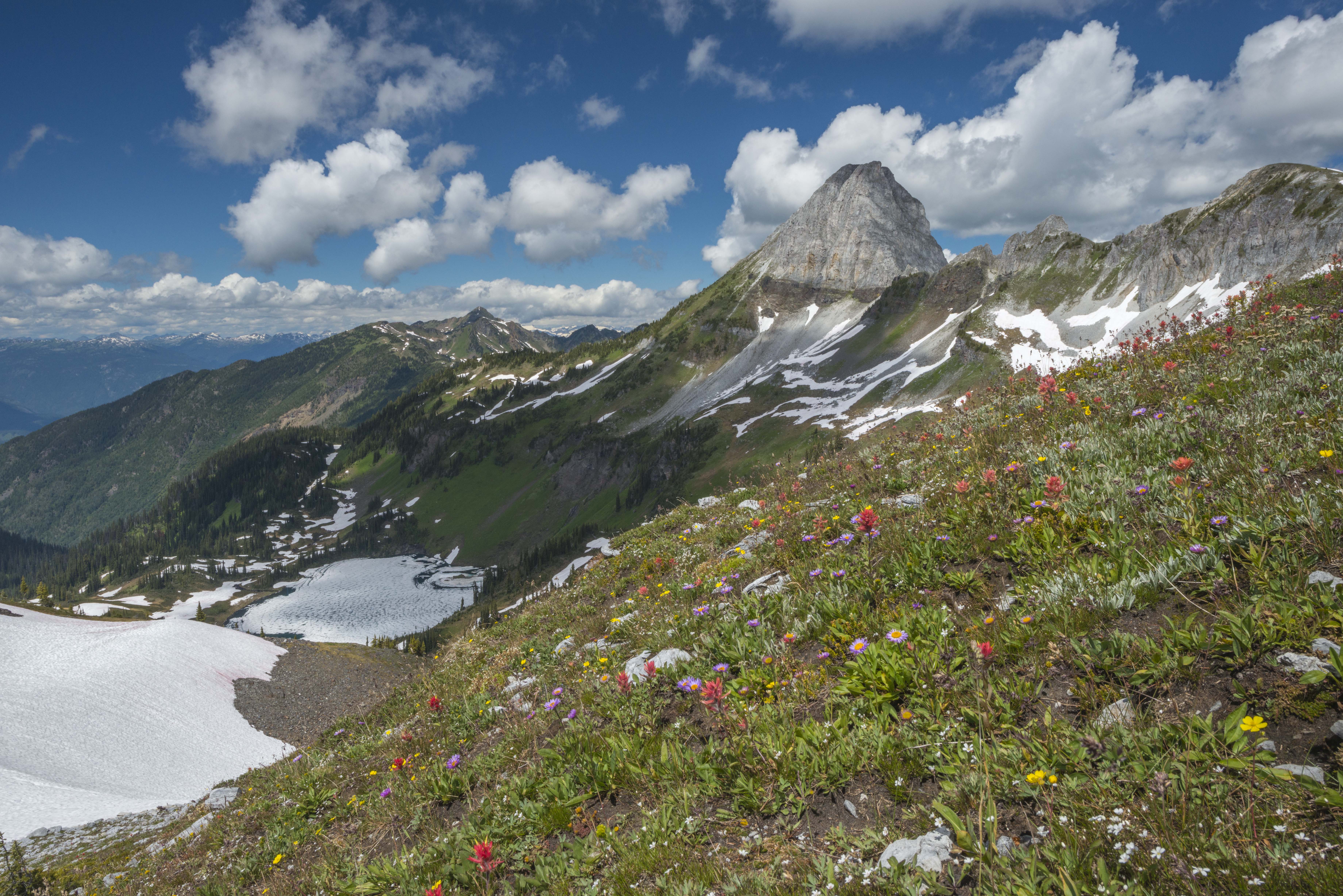Heli-Hike Ghost Peak