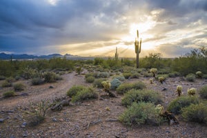 Gateway Loop