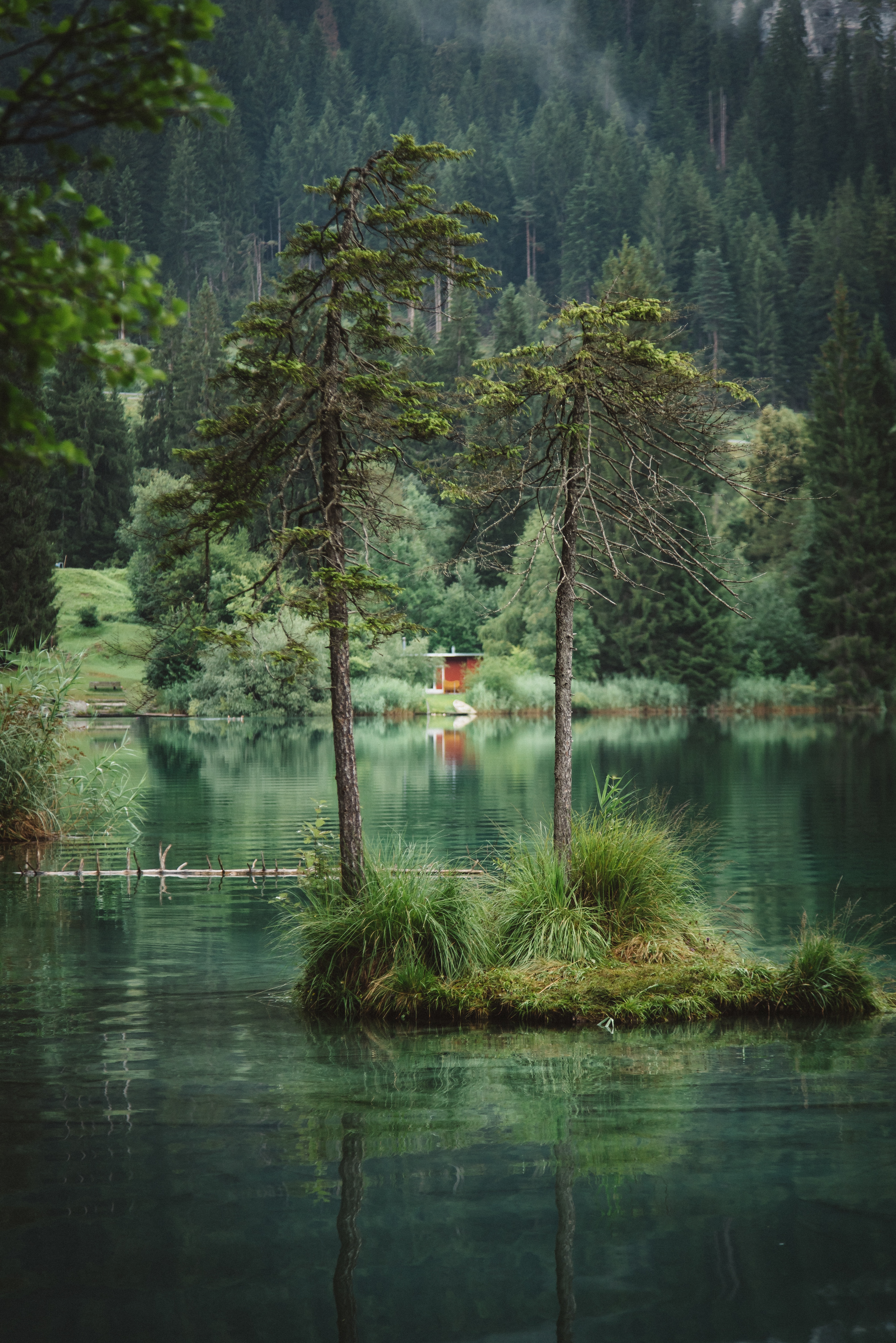 Hike around Crestasee Lake