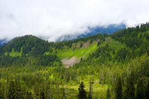 Hike Johnson Ridge to Scorpion Mountain